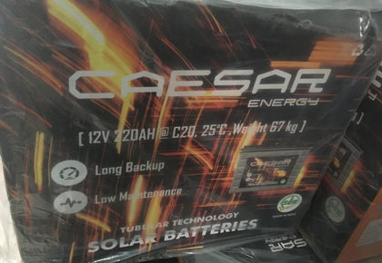 CAESAR 220Ah Tall Tubular Battery  | India Battery